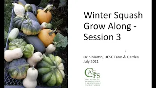 Session 3 - Winter Squash Grow Along with Orin Martin