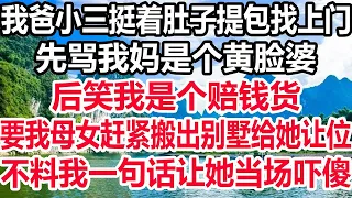 我爸小三挺着肚子提包找上门，先笑我妈是个黄脸婆，后笑我是个赔钱货，要我母女赶紧搬出别墅给她让位，我喊来保安将他轰出门外，下一秒叫她彻底傻了眼！