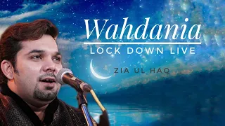 Arabic - Lock down Live - Zia ul Haq  #Arabic #song #lockdown #live