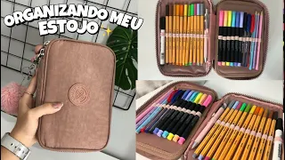 ORGANIZANDO MEU ESTOJO 📚✏️ *volta às aulas*