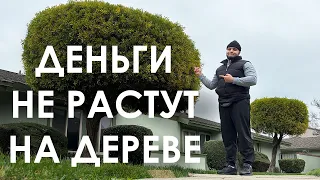 Я ПОНЯЛ ПОЧЕМУ ВСЕ ВАЛЯТ ИЗ АМЕРИКИ!