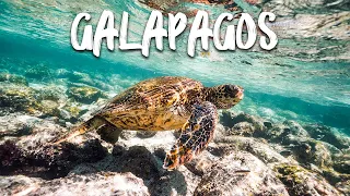 ISLAS GALÁPAGOS - ECUADOR - 4K UHD