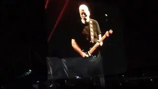 DAVID GILMOUR en Argentina: "Confortably Numb" (Desde el campo)