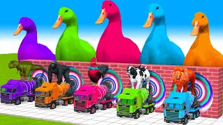 Paint & Animals Duck,Gorilla,Fox,Elephant,Cow,Sheep Fountain Crossing Transformation Animal Cartoon