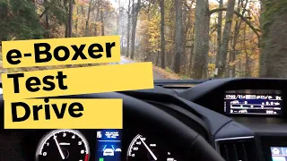 Subaru Forester 2020 e-BOXER: The first test drive - Car driving POV