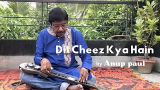 DIL CHEEZ KYA HAIN - Anup Paul | ASHA BHOSLE | Hawaiian Guitar Cover | Umrao Jaan