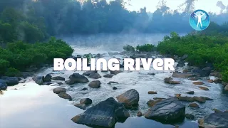 Boiling River | The Amazon’s Boiling River Kills Anything That Enters