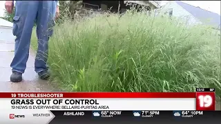 Grass out of Control: More than 3 feet of grass in Cleveland yard