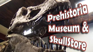 Prehistoria Museum & SkullStore Oddity Shop - Toronto