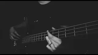 Monika Liu – Sentimentai (Bass Cover) Eurovision 2022 (+tabs)