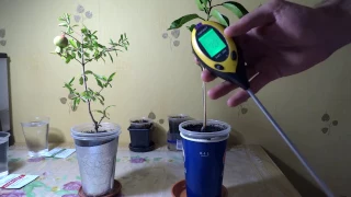 PH-метр для почвы AMT-300 4 в 1. Тестирование / 4 in 1 Soil Survey Instrument. Testing