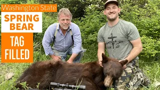 TAGGED OUT SPRING BEAR HUNT | Washington State