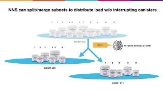 A Technical Overview of the Internet Computer [version with slides]