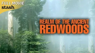 Realm of the Ancient Redwoods | Natural History Documentary | Full Movie