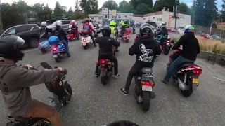 Scooter Insanity 33 : Day 1