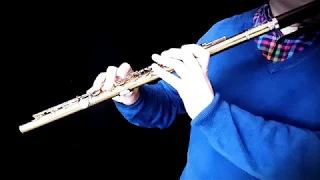 Flute Orchestra Study : Ravel's  Daphnis et Chloé solo
