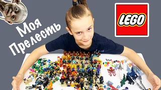???? Сколько у меня LEGO фигурок? Огромная коллекция мини фигурок Лего от Давы