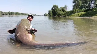 GIGANTESCO PESCE SILURO DA 90 KG IN VERTICAL JIG by Yuri Grisendi