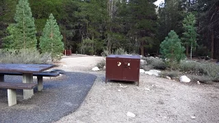 Robinson Creek Campground (Humboldt-Toiyabe National Forest) in Bridgeport, California