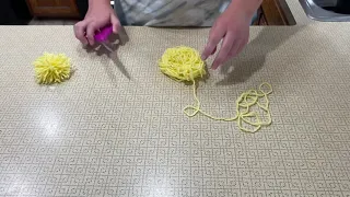 DIY Pom Pom Cat Toy