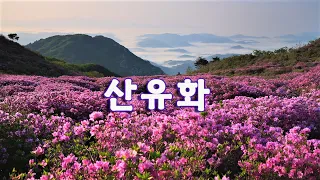 남인수 - 산유화