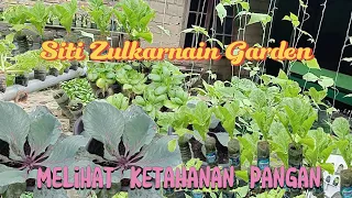 Review Tanaman Sayur disamping rumah@SitiZulkarnainGarden
