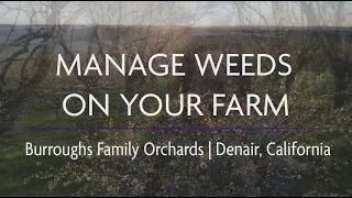 Manage Weeds on Your Farm: Ecological Weed Management at Burroughs Family Orchards, Denair CA