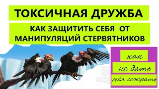 ТОКСИЧНАЯ ДРУЖБА/ СТЕРВЯТНИКИ/ КАК ЗАЩИТИТЬ СЕБЯ