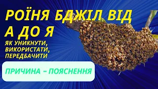 Роїня бджіл. Причини! Як не допустити? Як уникнути? Як використовувати роїня? Все в відео!