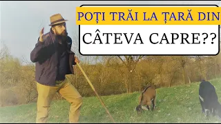 POȚI TRĂI LA ȚARĂ DIN CÂTEVA ANIMALE? #OrășeanLaȚară!