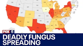 Deadly fungal infection spreading rapidly across U.S.