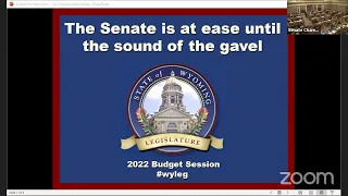 Senate Floor Budget Session-Day 16, March 7, 2022 -PM
