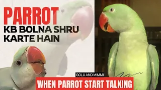 Baby Parrot Kb Bolna Shru Karte hain? || Parrot Talking P Kb Aate Hain? #babyparrot #talkingparrot