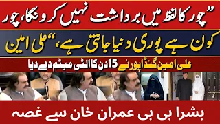 "Chor Ka Lafz Mai Bardasht Nahi Karoonga" | Ali Amin gandapur ki warning | PTI case result