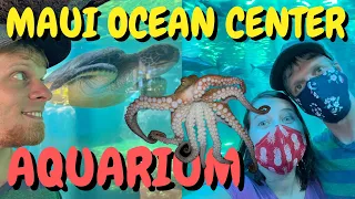 A Day at the Maui Ocean Center 2022: Best Aquarium in Hawaii for Sharks, Octopus, Turtles & More 4K