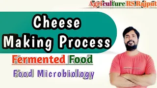 Cheese making process | Curd making process | Fermented product of milk | Food microbiology