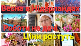 Все про життя біженців в Нідерландах | Ціни виросли | Весняні роботи на дачі #біженцізукраїни