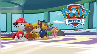 🐶PATRULHA CANINA AS AVENTURAS WORLD DA LILI