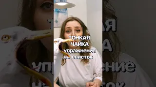 Тонкая чайка - упражнение на свисток 🙌