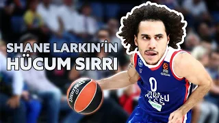 SHANE LARKIN GİBİ SAYI ATMAK | OYUNCU ANALİZLERİ