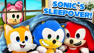 Sonic's Sleepover!! - Sonic & Amy Plush Squad