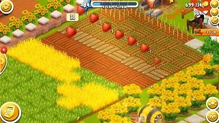 Hay Day Level 84 Update 6 HD 1080p