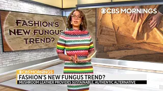CBS Mornings - Mushrooms used as animal leather alternative