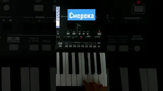 Смерека #korg #українськамузика #dance #pa600 #music #disco #весільні #весілля #korgpa600 #hit