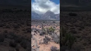 Red Rock Canyon Nevada