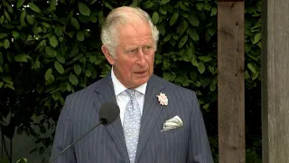 Prince Charles addresses G7 reception about Covid-19 and climate change