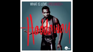 Haddaway - What Is Love (Original Vocal x Instrumental Extended Mix)