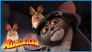 All Hail King Julien | Ted? What Are You Doing Here? | Madagascar