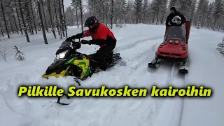 "Pilkki"Kelkkailureissu Savukoskelle