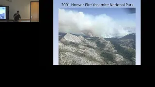 Wildfire Impacts in California Forests: Is Past Management or Climate Change the Biggest Factor?